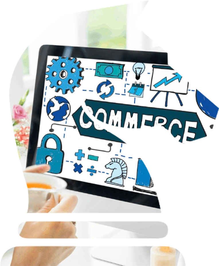 ECommerce Optimization Vancouver-1